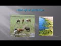 Water Pollution and Its Effects