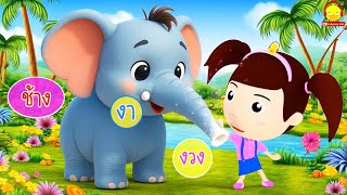 เพลงช้างๆๆ น้องเป็ดอินดี้เล่นกับช้างในป่า #เพลงเด็กน้องเป็ดอินดี้