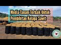 Kuis Media Tanam dan Pengisian Polybag