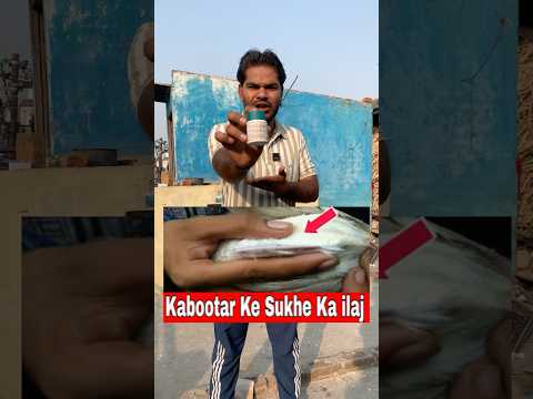 Kabutar ke sukhe ka ilaj 💊 🕊️ #minivlog #kabootarloft05 #pigeontips #pets #birdspecies #shorts