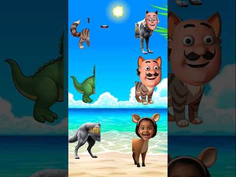 मेरी बिल्ली का मुंह कहां है 😺 New viral cat toy smart gadgets #cat #shorts