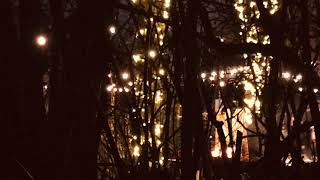 You'd Come Down to me (A Christmas Song)