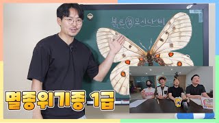 붉은점모시나비의  모든 것! [웅박사의 곤충교실]