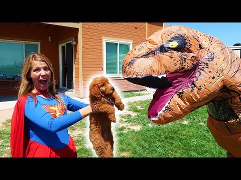 Supergirl SAVES Golden Doodle PUPPY From T Rex!