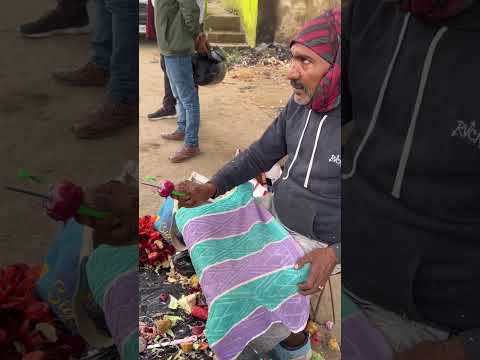 Fruit Ninja 🔪🍎| Amazing Fruits Cutting Skills | Indian Street Food | #shorts #streetfood #ytshorts