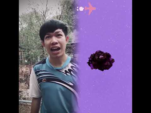 #funny #lifeisbutadream #craftideas #duet #diycraft #pov #shorts #butifyoucloseyoureyes