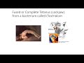 Muscle Physiology and Function Concepts