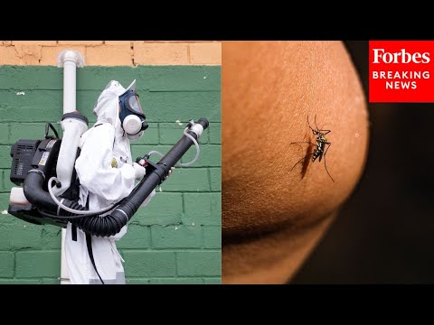 YouTube video thumbnail: New York Confirms First Local Case Of Chikungunya Virus—What To Know