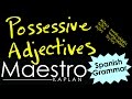 Mastering Possessive Adjectives in Spanish