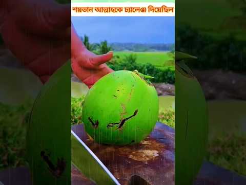 āĻļāϝāĻŧāϤāĻžāύ āĻāϞā§āϞāĻžāĻšāĻā§ āĻā§āϝāĻžāϞā§āĻā§āĻ āĻĻāĻŋāϝāĻŧā§āĻāĻŋāϞ āĻāĻŋ āĻļā§āύā§āύ!?#ytshorts #mizanurrahmanazhari