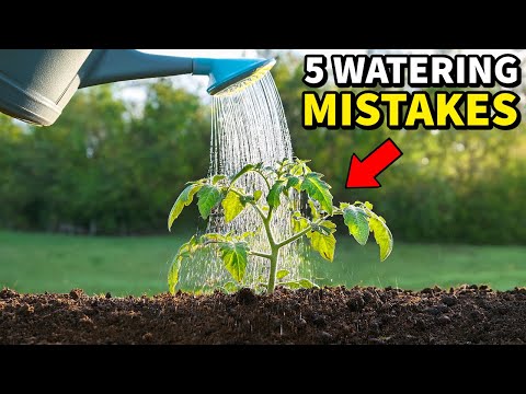 5 Mistakes You Must NEVER Make Watering Your Garden