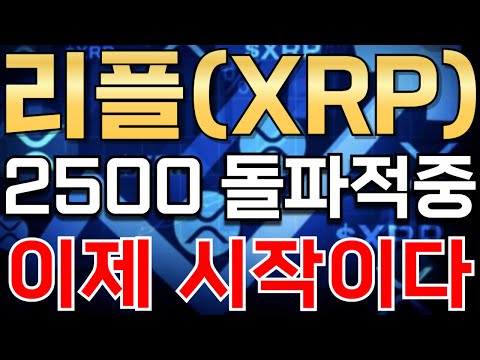 리플(XRP) 다음은 12$ 여기까지 절대 매도금지 ! 곧 신규상장될 "이코인"  // 비트코인 리플코인 도지코인