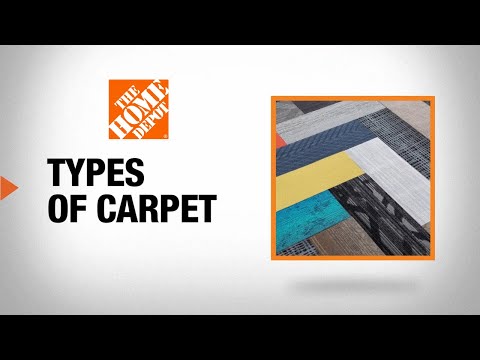 Types Of Carpet, Best Type Of Area Rugs For Dogs