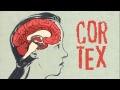 Meditation's Impact on Brain Function