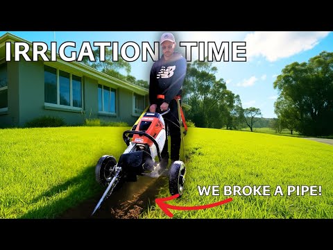 I Destroyed My Kikuyu Lawn… For Irrigation