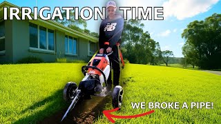 I Destroyed My Kikuyu Lawn… For Irrigation