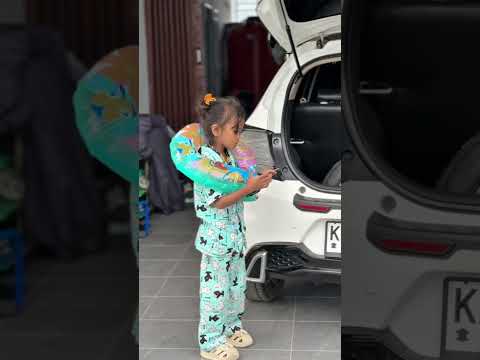 Mobil canggih