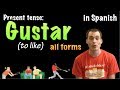Exploring the Present Tense of Gustar in Spanish