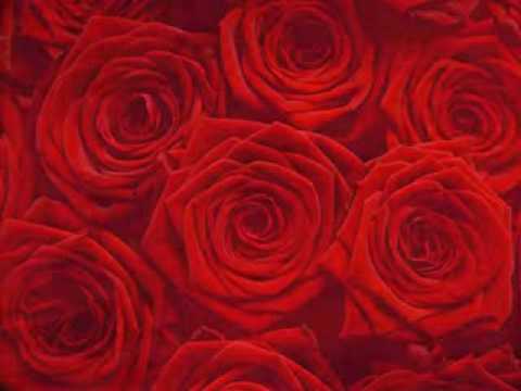 Chris Rea - Red