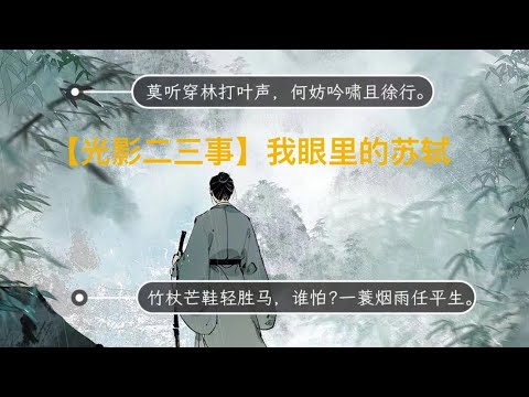 【光影会员限时】一部视频看完我眼里苏轼的一生，血泪辛酸，颠沛流离，尽数化作了千古名篇！