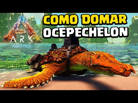COMO DOMAR A OCEPECHELON - ELA É INSDISPENSÁVEL! - ARK AQUÁTICA
