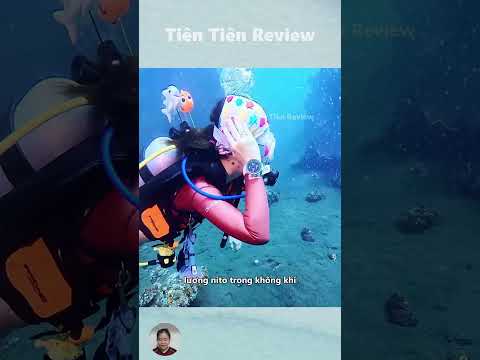 Thợ lặn sẽ làm gì để thoát khỏi áp suất cao dưới đáy biển #short #shorts #viralvideo