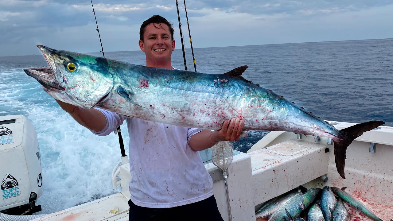The Day of GIANTS. MONSTER Kingfish ( Commercial Fishing)