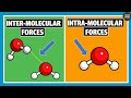 Intramolecular and Intermolecular Forces