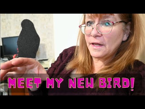 Meet my new BIRD! I was REALLY Picky!