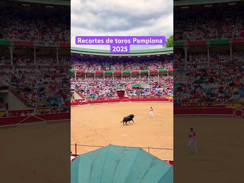 Recortes de toros Pamplona 2025 #shorts #concurso #recortes #pamplona #2025 #festival #sanfermin