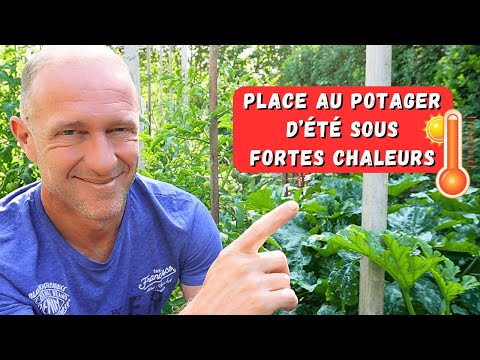 En route pour le potager de plein été ► Mi à fin juin 2025 🥵