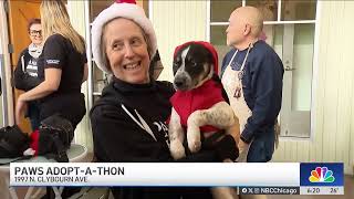 PAWS Chicago holds seasonal Adopt-a-Thon event