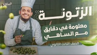 زتونة الدرس الأول فيزياء 3 ثانوي | أساسيات التيار الكهربي في 8 دقائق دكتور الساهي