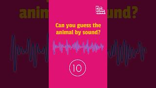 🤣 Can You Guess This Animal by the sound?!