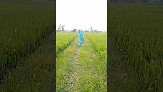 #shortvideo #comedy #shortsfeed #SumanBhauji