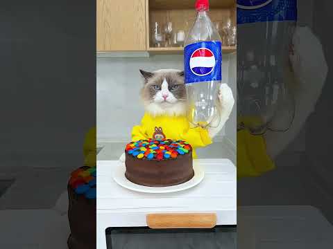 Kitty wants to eat cake #shortvideo