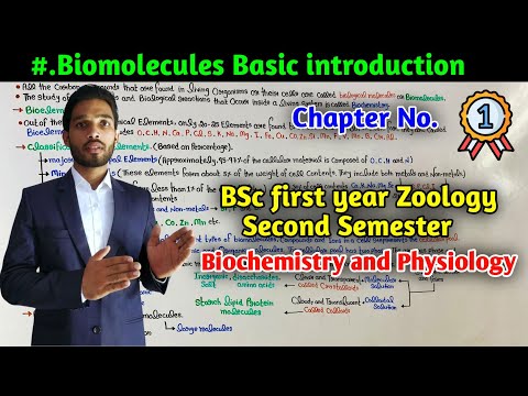 Biomolecules introduction || Cellular Pool || BSc 1st year Zoology Second Semester || Biochemistry