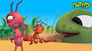 Joey’s Leaf Boat Adventure: Chased by a Fish with Boo! | ANTIKS | Kids Cartoons | Party Playtime!