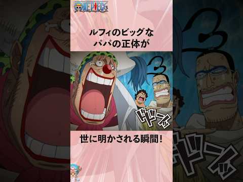 ルフィのビッグなパパの正体が世に明かされる瞬間! #onepiece #ワンピース #アニメ #雑学