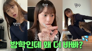 A Week VLOG 미국 대학생의 여름방학 Korean living in the USA