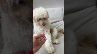 SLINK TÁ COM ALGO NA BOCA