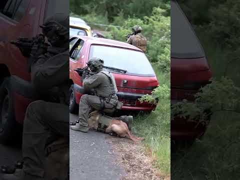 🐶Hero Dog Helps Capture Criminals with Officers!💪#DogTraining#DogAndOwner