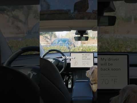 Tesla was outsmarted by a dog #shorts