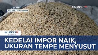 Harga Kedelai Melonjak, Produsen Tempe Kecilkan Ukuran