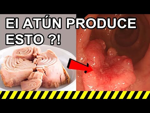 El ATÚN le va a producir ESTO al Cuerpo, Si lo comes Así