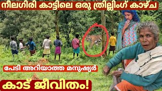 വന്യമൃഗങ്ങൾകിടയിലും വെറും പ്ളാസ്റ്റിക് കൂരയിൽ അന്തിയുറങ്ങുന്നു..