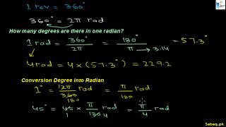 Angular Velocity