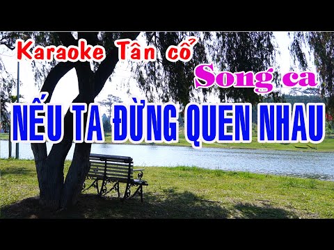 Karaoke tân cổ NẾU TA ĐỪNG QUEN NHAU – SONG CA [ Minh Vương – Mỹ Châu]