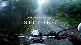 The Most Scenic Route I have Ridden Beyond Shivkhola - Siliguri to Upper Sittong