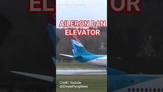 Bagaimana Cara Aileron dan Elevator Bekerja? #aircrew #airplane #aviation #pilot #captainvincent